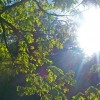 apts salt lake city: sunburst
