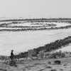 apts utah: spiral jetty