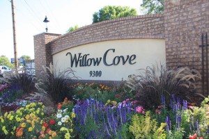 apartments in salt lake city: willow cove