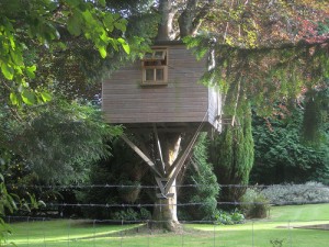 apts salt lake city: treehouse