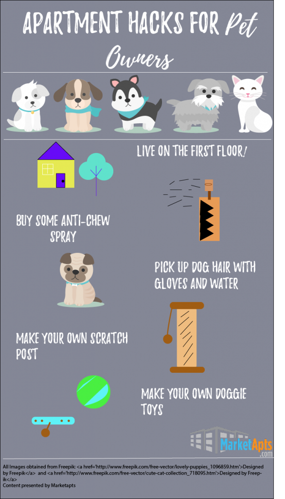 Five Apartment Hacks for Pet Owners