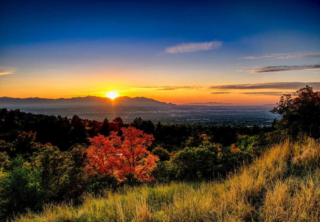 31 Reasons You Should Live in Downtown Salt Lake City